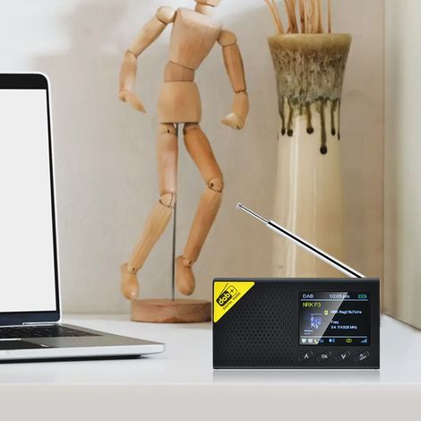 Radio FM numérique DAB avec BT, récepteur DAB + FM sans fil rechargeable portable, système audio avec haut-parleur stéréo, écran LCD, multilingue (1/5)