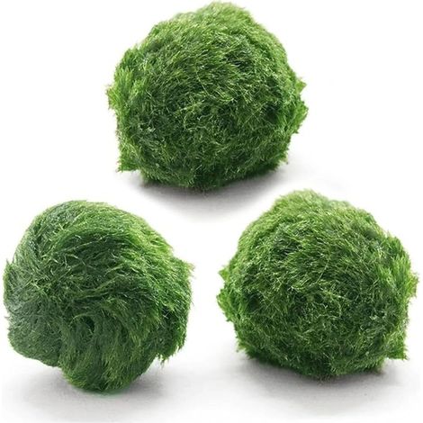 Boules de mousse vivante pour aquarium, décoration aquatique naturelle (3 pièces) (1/5)