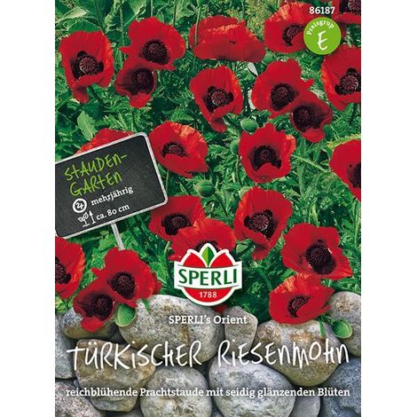 Blumensamen, Feuermohn 'Orient' (1/4)
