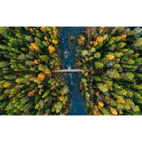 Tableau Pont de la rivière... - 80x50cm - made in France (1/5)
