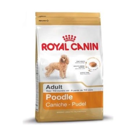 Royal Canin Caniche Adulte 1,5 kg
