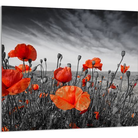 GLASPLATTE FÜR KÜCHE 65x60 Maki