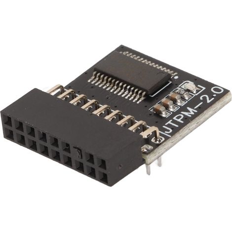 Module de sécurité TPM 2.0 18 broches avec processeur de cryptage dédié pour Windows (1/5)