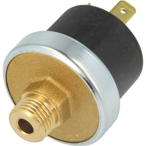 Pressostat d'eau 0,8 bar 1/4'' FM 230 V