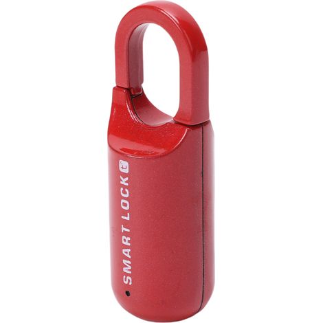 Cadenas intelligent WiFi avec reconnaissance d'empreintes digitales, application TY, verrou intelligent rechargeable sans fil pour armoire, capacité de 10 empreintes digitales, alarme de batterie faib (1/5)