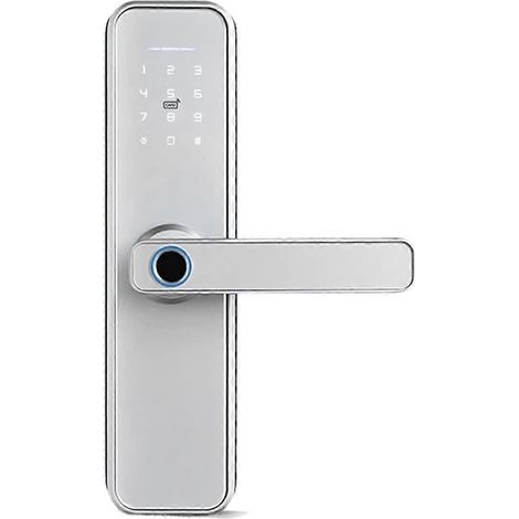 Serrure de porte intelligente à empreinte digitale, compatible avec le contrôle par application, entrée biométrique sans clé, adaptée aux maisons et aux bureaux. (1/5)