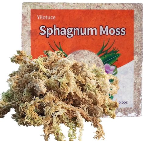 155g Sphaigne pour Plantes, Compressé Sphaigne pour Orchidées (1/5)