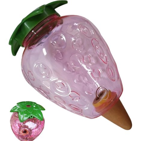 Boules d'Arrosage pour d'Intérieur Arrosoir Automatique Coeur Fraise  Bulbes d'Arrosage pour Cactus Pour Balcon Jardin Potted Cactus et en Pot (1/5)