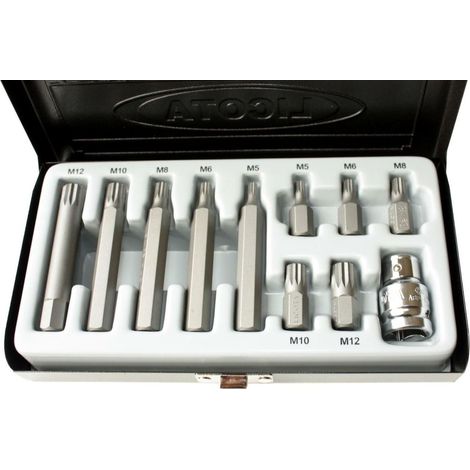 Coffret d'embouts Spline M5-M12 en Acier S2 avec Support 3/8