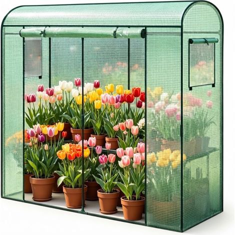 ELVMI Invernadero Túnel con Techo Curvo, 2 Ventanas y Puerta Enrollable, de Acero y PE Verde, 170 x 68 x 200 cm (1/5)