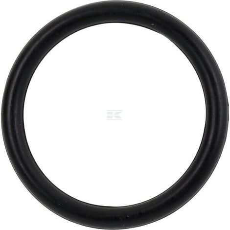 O-ring 49x5,7 HONDA 91352YG4000 (1/3)