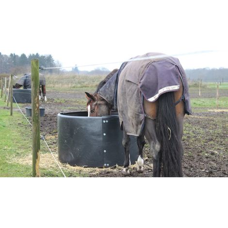 Mangiatoia Paddock anello fieno 128 cm diametro Cavallo Bestiame prato