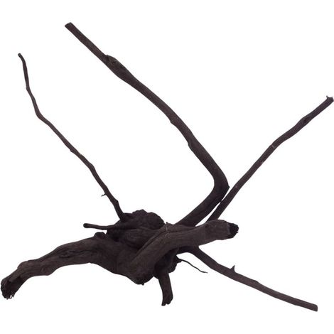 L Black Spider Wurzel  Nr.2615 Fingerwurzel Echtholz Deko Aquascaping