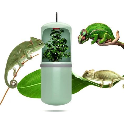 Wasserspender für Chamäleons und andere Reptilien – EU-Stecker (1/5)