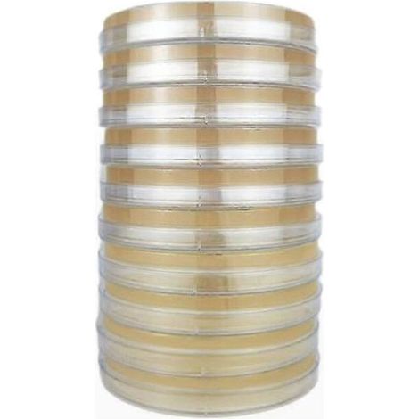 Boîtes de Petri contenant de la gélose pour la culture de champignons, destinées aux expériences de laboratoire et aux projets scientifiques à domicile - 10 boîtes (1/5)