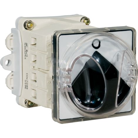 Interruttore Sezionatore Da Fondoquadro Con Bloccoporta E Mostrina Grigia Ip65, 63A 4P