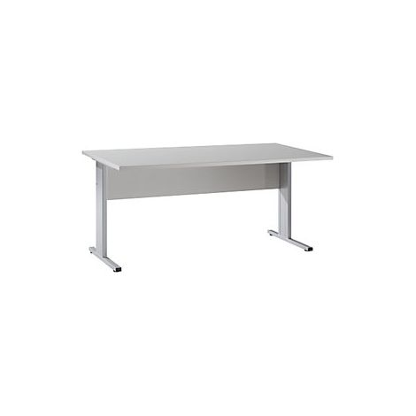 PETRA - Escritorio  H x A x P 720 x 1600 x 800 mm  gris