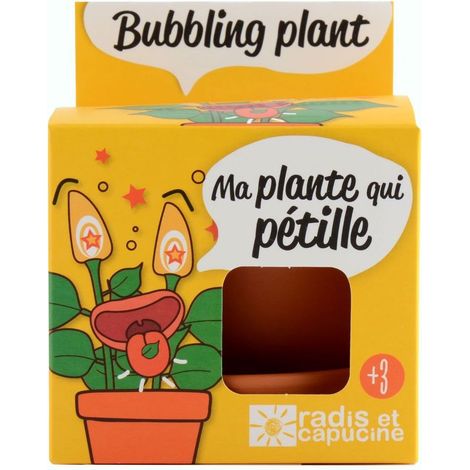 Pot avec coupelle - Plante qui pétille - 8 cm (1/5)