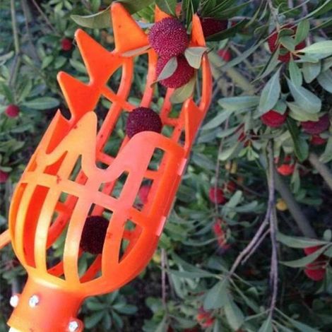 Orange Fruit Harvesting Tool, Plastic Without Harvesting Stem, Fruit Picking Tool（209CM） (1/5)