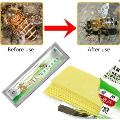 Bandes Anti-Acarides - Fluvalinate - Traitement Varroa Pour Ruches - 60 Pièces (1/4)