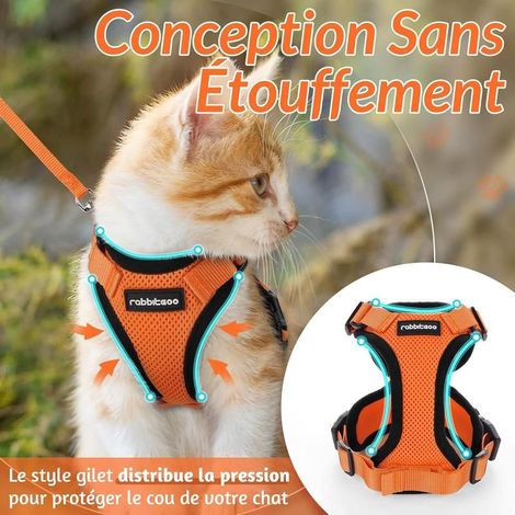 Rabbitgoo S orange cat harness, adjustable and reflective, breathable vest with leash (1/5)