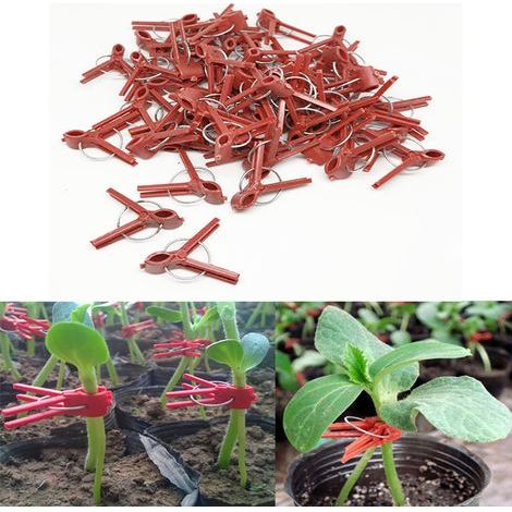 Lot de 100 clips de greffage en plastique pour plantes, pratiques et résistants pour jardinage (1/4)