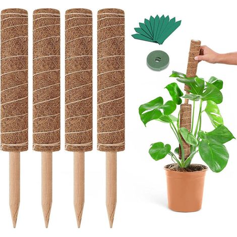 Ensemble de 4 tuteurs réglables pour mousse – Support pour Monstera et Pothos – (1/5)