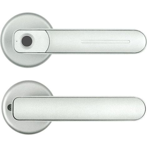 Elektronisches Fingerabdruckschloss, Türgriff – Fingerabdruck- und Smartphone-Schloss (silber) (1/4)