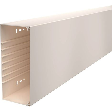 OBO Bettermann Canale da parete e da soffitto con foratura sul fondo 100x230x2000 Cloruro di polivinile bianco crema RAL 9001, 6026338
