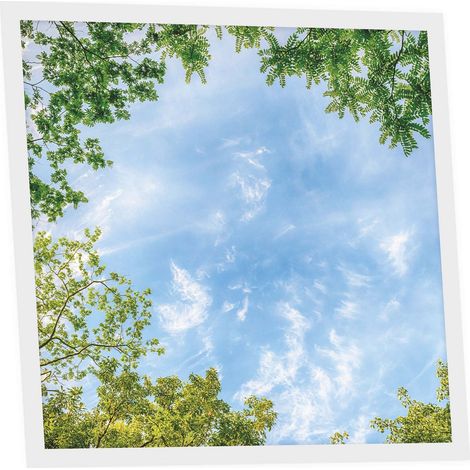 Dalle LED Imprimée 60x60 cm - Motif Horizon Arboré - Lumière Blanc Neutre 4000K - Panneau Lumineux pour Plafond Bureau Salon Cuisine - Facile à Installer