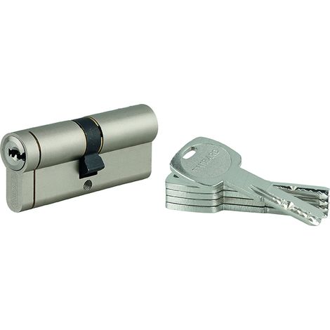 THIRARD - Cylindre de serrure débrayable Transit 1, 40x40mm, 5 clés, nickelé - THIRARD (1/4)