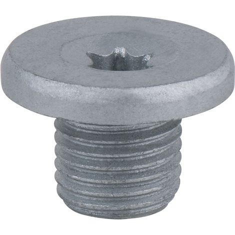 Ölablassschraube, Torx, T45 mm, M14x1,5x10,5mm, 25er-Pack (1/2)