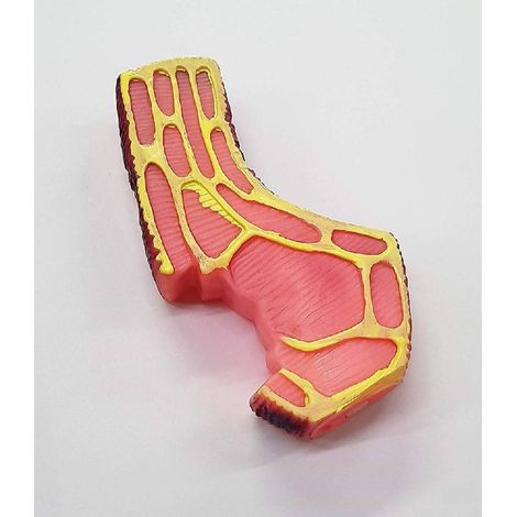 Trade Shop - Gioco Bistecca Rosa Suono Stridulo In Plastica Cani Cane Masticare Denti Animali -