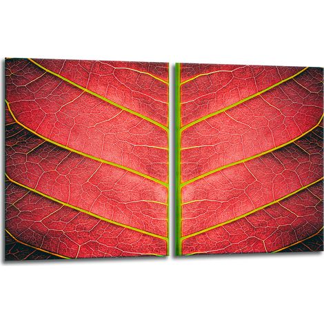 2 plaques de protection en verre pour cuisinière 40x52 feuilles (1/5)