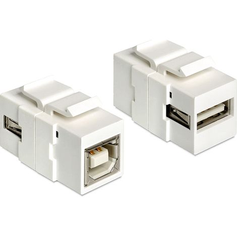 Delock keystone module usb 2.0 a female usb 2.0 b female