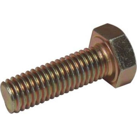 10,0 x VITE COPPIA CONICA DECESPUGLIATORE (1/4)