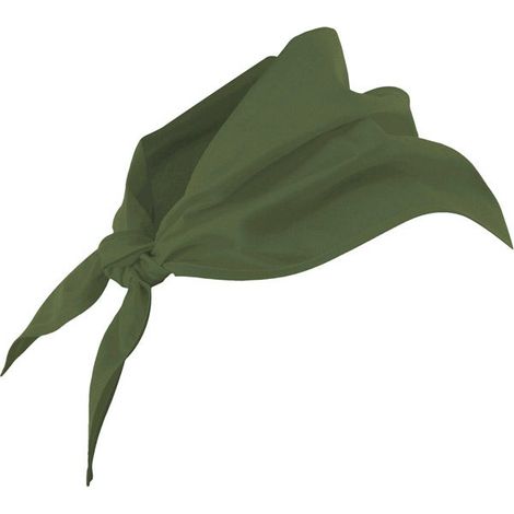 Pico VERDE CAZA U