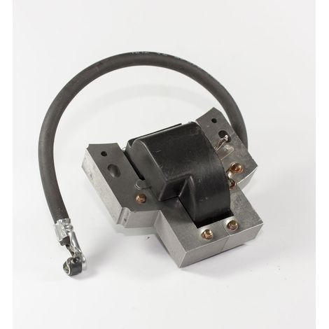 Bobina accensione Briggs&ampStratton per motore SHP - 004019