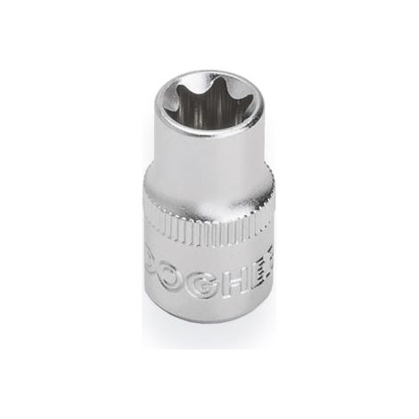 1/4 Torx CrV T05 Becher DOGHER 503-T05