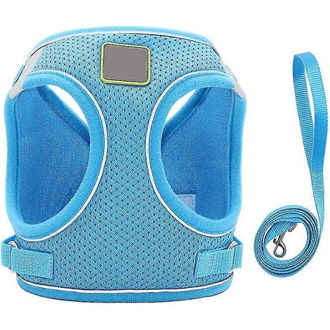 Hundegeschirr-Set für den Außenbereich mit reflektierender blauer Leine (1/5)