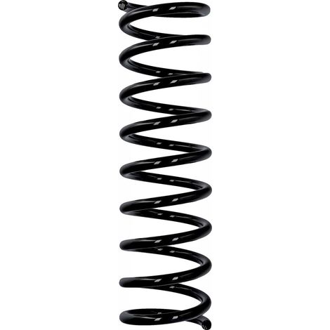 Muelle de serie Eibach ERL BMW trasero R10625 (1/2)