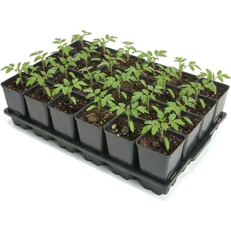 Garronda Anzuchtschale 24 Plätze mit 0,8 L Pflanztöpfen hoch Set Transporttray Kunststoff für Gewächshaus Garten Anzuchtsysteme mechanischen Transport Schwarz GD-0208