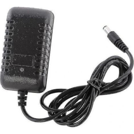 Offre exceptionnelle à petit prix Chargeur pour voitures électriques pour enfants - Chargeur de batterie au plomb (1/4)