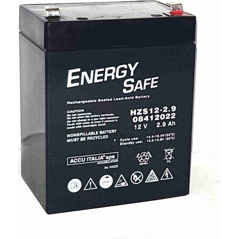 Pb AGM VRLA Batterie Energy Safe Serie 12V 2,9Ah C20 (F1)