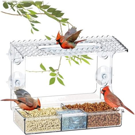 Mangeoire oiseaux fenêtre – 4 ventouses puissantes, trous drainage – Transparente – Pour cardinaux, tarins