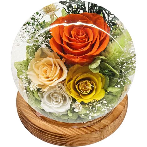 1 Rose éternelle sous cloche, socle bois, lumière LED, décoration intérieure, cadeau femme (1/5)