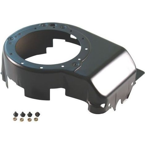 Carter BRIGGS ET STRATTON 795071