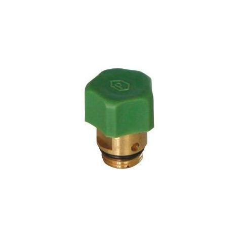 Grifo de vaciado 1/4" para válvula de interrupción (1/2)