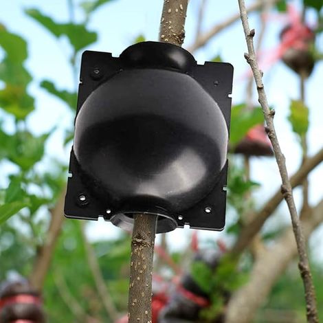 Kit de enraizamiento de plantas: 12 cajas para el crecimiento de las raíces, bola de propagación adecuada para esquejes de plántulas.
