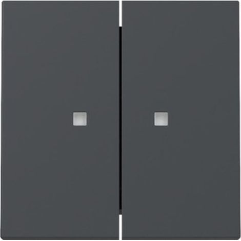 Gira Wippe 2f Kontrollf. System 55 Anthrazit [363128], 3631 28